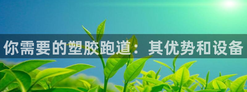 谈球吧怎么充值：你需要的塑胶跑道：其优势和设备