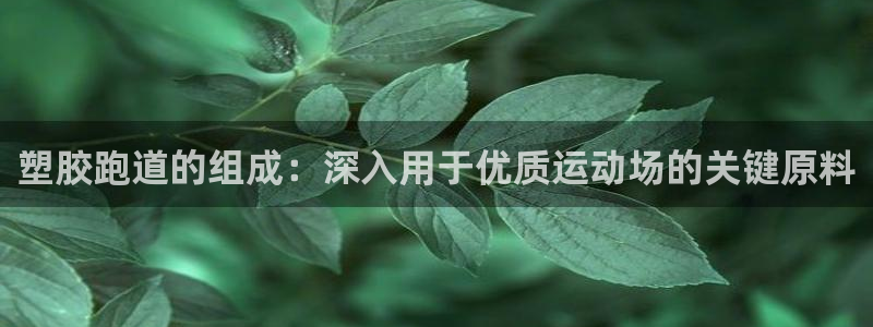 谈球吧nba：塑胶跑道的组成：深入用于优质运动场的关键原料