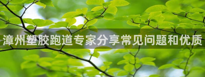 谈球吧app官方下载：漳州塑胶跑道专家分享常见问题和优质
