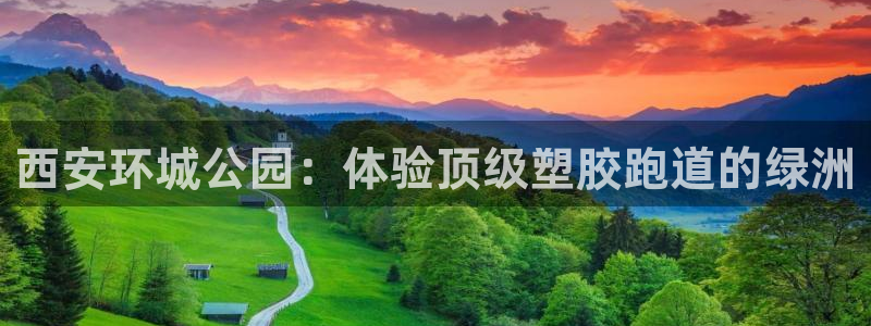 谈球吧打不开了：西安环城公园：体验顶级塑胶跑道的绿洲