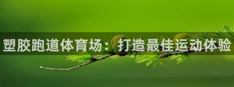 谈球吧可靠吗：塑胶跑道体育场：打造最佳运动体验