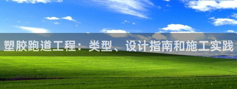 谈球吧能提现不：塑胶跑道工程：类型、设计指南和施工实践