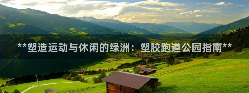 谈球吧体育app登陆入口：**塑造运动与休闲的绿洲：塑胶跑道公园指南**