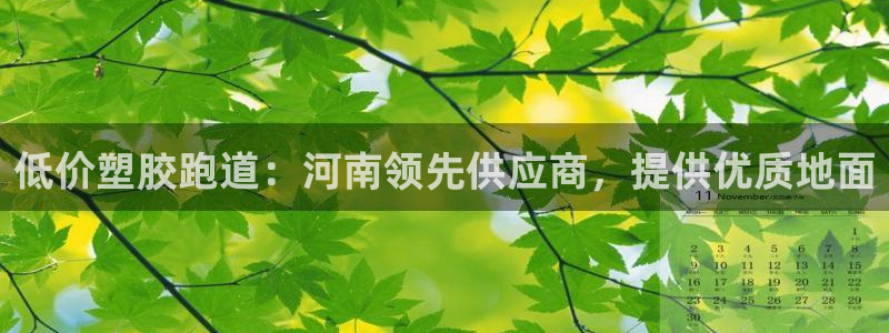 谈球吧体育ios下载：低价塑胶跑道：河南领先供应商，提供优质地面