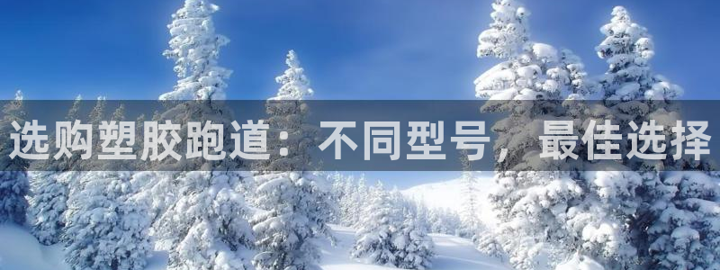 谈球吧App：选购塑胶跑道：不同型号，最佳选择