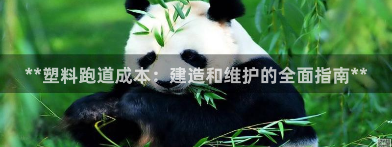 谈球吧网app官网下载：**塑料跑道成本：建造和维护的全面指南**