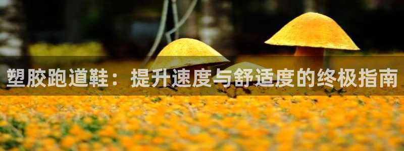 谈球吧体育app下载中心官网手机版