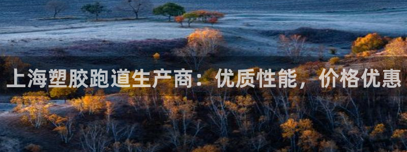 谈球吧官网在线入口手机版下载苹果：上海塑胶跑道生产商：优质性能，价格优惠