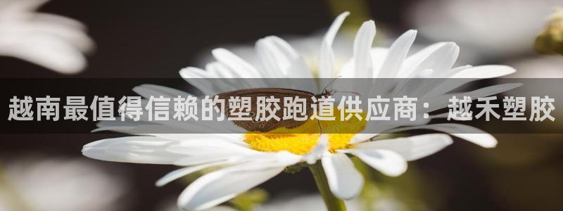 谈球吧(中国)官方网站：越南最值得信赖的塑胶跑道供应商：越禾塑胶