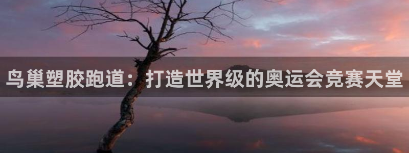 谈球吧体育app登陆入口：鸟巢塑胶跑道：打造世界级的奥运会竞赛天堂