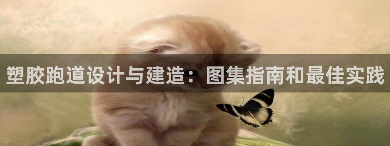 谈球吧在线：塑胶跑道设计与建造：图集指南和最佳实践