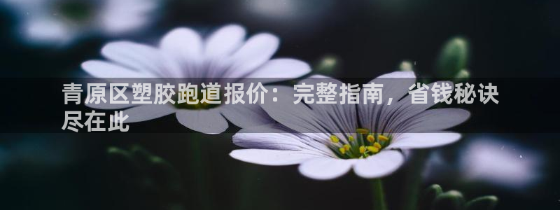谈球吧tvt