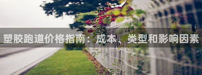 谈球吧app体育下载：塑胶跑道价格指南：成本、类型和