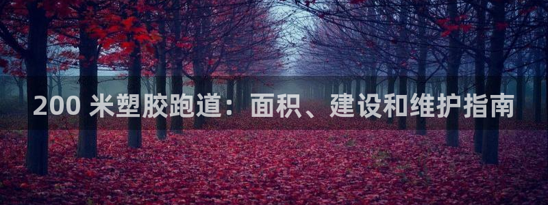 谈球吧登录地址：200 米塑胶跑道：面积、建设和维护指南