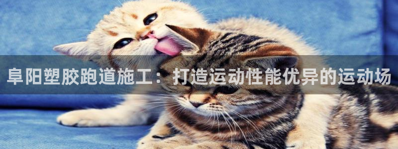 谈球吧体育app登陆不了：阜阳塑胶跑道施工：打造运动性能优异的运动场