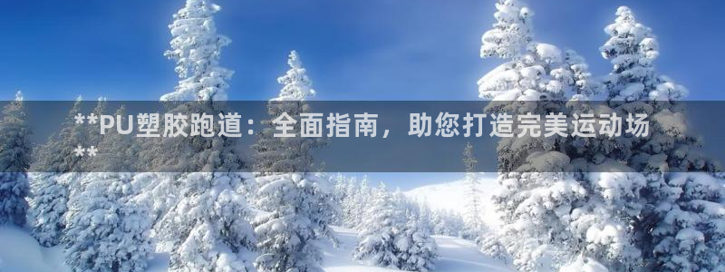 谈球吧入口：**PU塑胶跑道：全面指南，助您打造完美运动场
**