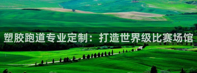 谈球吧app赛事分析在哪里看：塑胶跑道专业定制：打造世界级比赛场馆