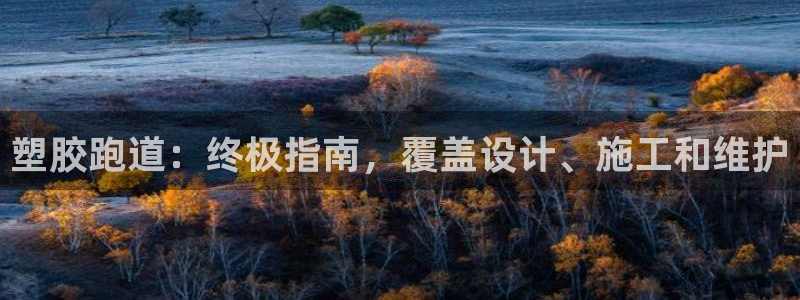 谈球吧的聊天软件：塑胶跑道：终极指南，覆盖设计、施工