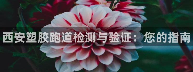 谈球吧app官网下载安卓：西安塑胶跑道检测与验证：您