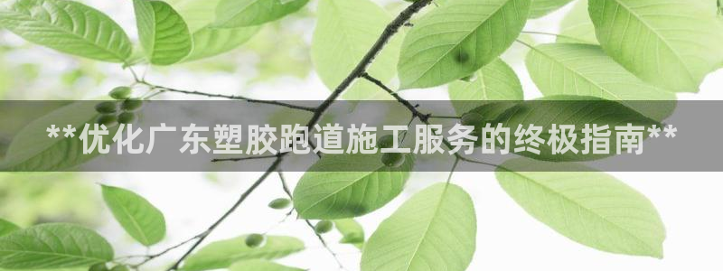 谈球吧app赛事分析报告怎么做：**优化广东塑胶跑道施工服务的终极指南**