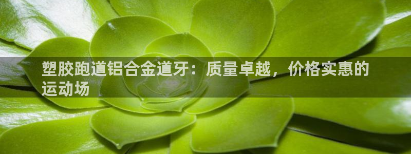 谈球吧首页：塑胶跑道铝合金道牙：质量卓越，价格实惠的
运动场