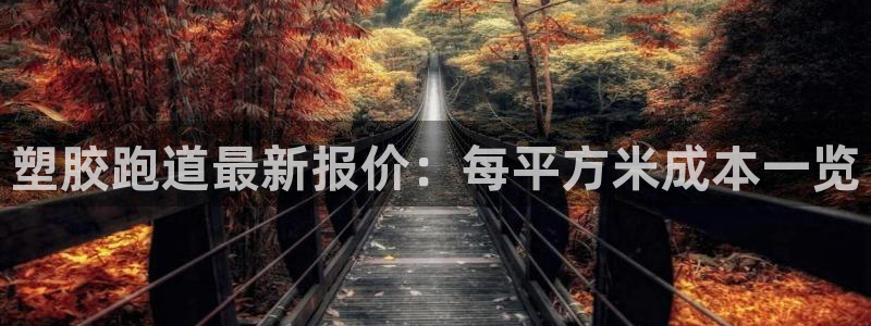 谈球吧平台：塑胶跑道最新报价：每平方米成本一览