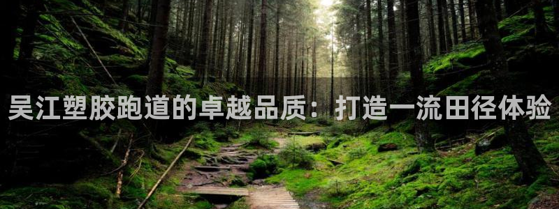 tqb谈球吧：吴江塑胶跑道的卓越品质：打造一流田径体验
