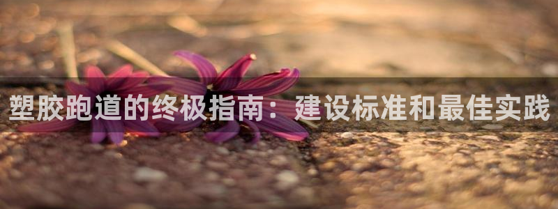 谈球吧体育app下载足球比赛直播