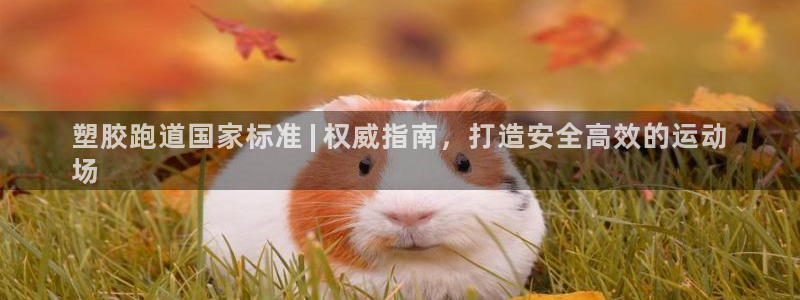 谈球吧app体育下载：塑胶跑道国家标准 | 权威指南，打造安全高效的运动
场
