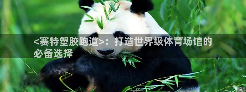 谈球吧体育app下载中心官网手机版：<赛特塑胶跑道>：打造世界级体育场馆的
必备选择