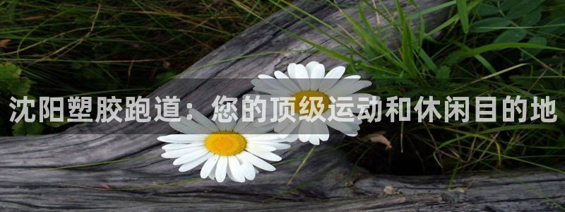 谈球吧在线：沈阳塑胶跑道：您的顶级运动和休闲目的地