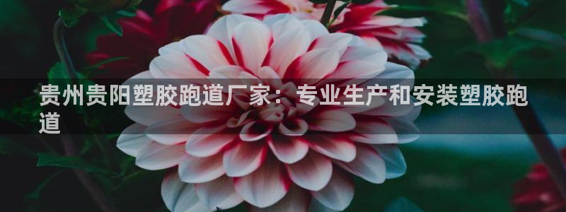 谈球吧娱乐app下载官网苹果手机：贵州贵阳塑胶跑道厂家：专业生产和安装塑胶跑
道