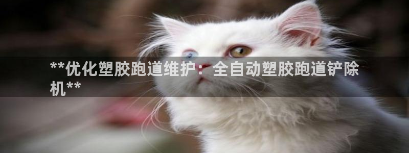 谈球吧算违法行为吗知乎：**优化塑胶跑道维护：全自动塑胶跑道铲除
机**