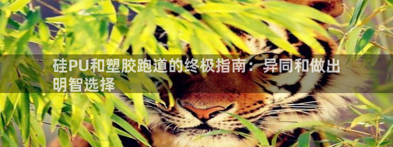 谈球吧官网在线入口手机版免费下载：硅PU和塑胶跑道的终极指南：异同和做出
明智选择