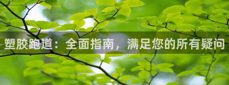 谈球吧体育app下载足球比赛视频