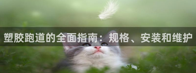 谈球吧中国官方网站：塑胶跑道的全面指南：规格、安装和维护