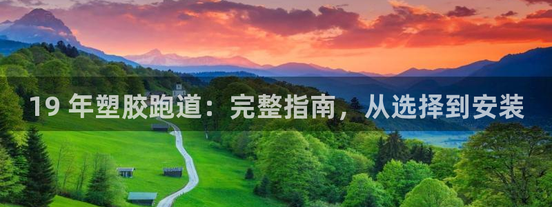 谈球吧app官方下载：19 年塑胶跑道：完整指南，从选择到安装