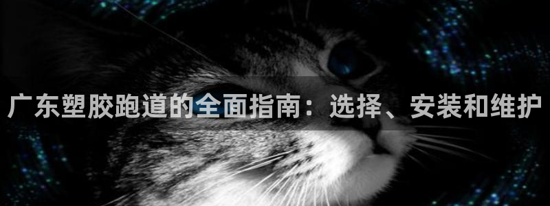 谈球吧nba