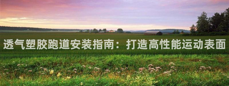 谈球吧官网提款不了：透气塑胶跑道安装指南：打造高性能运动表面