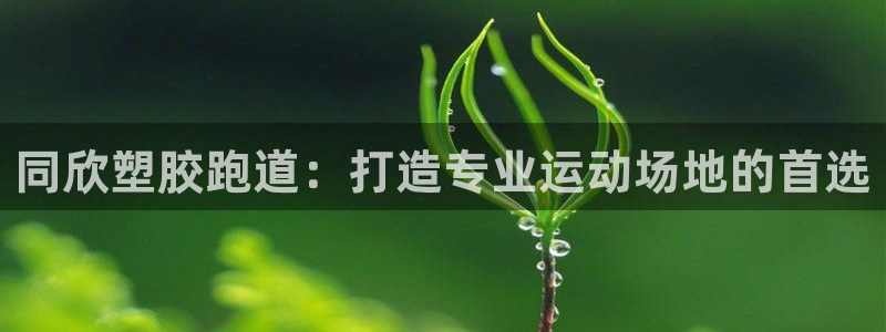 谈球吧怎么样：同欣塑胶跑道：打造专业运动场地的首选