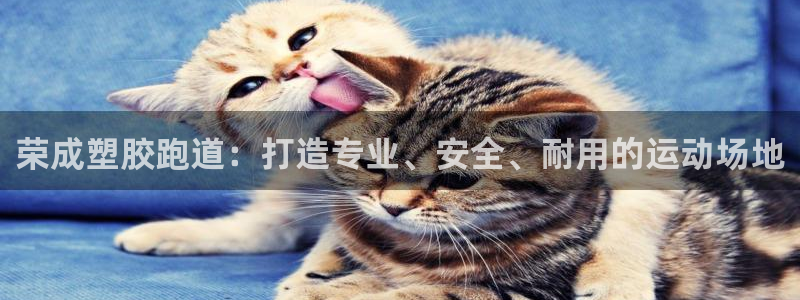 谈球吧体育app官网下载：荣成塑胶跑道：打造专业、安全、耐用的运动场地