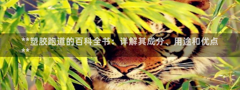 谈球吧体育app下载足球直播软件：**塑胶跑道的百科全书：详解其成分、用途和优点
**