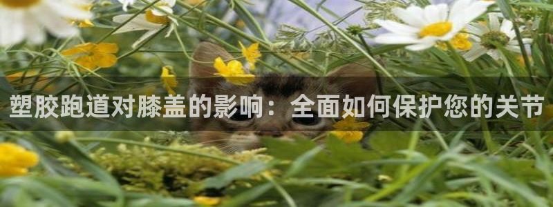 谈球吧属于哪个旗下：塑胶跑道对膝盖的影响：全面如何保护您的关节