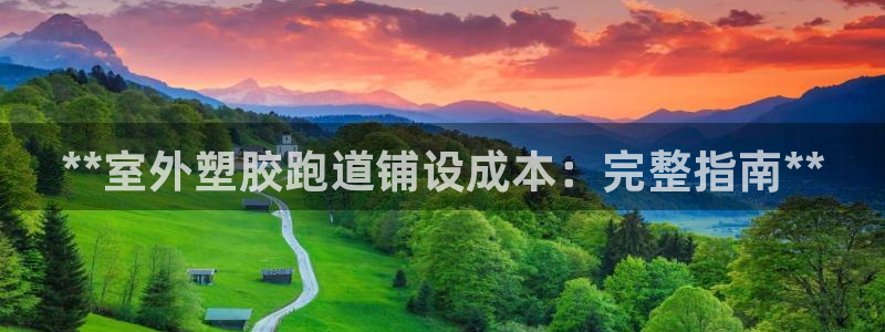 谈球吧是否诈骗：**室外塑胶跑道铺设成本：完整指南**