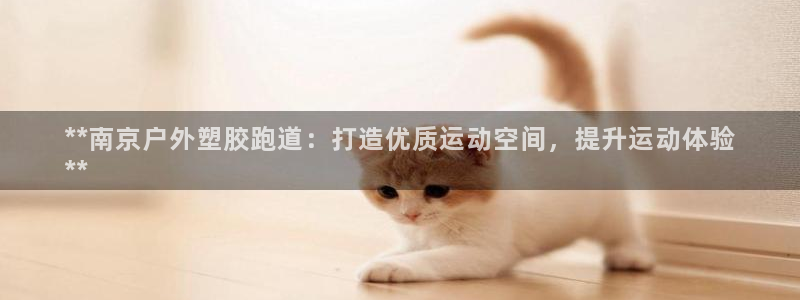 谈球吧体育综合：**南京户外塑胶跑道：打造优质运动空间，提升运动体验
**