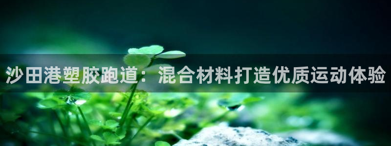 谈球吧官网下载：沙田港塑胶跑道：混合材料打造优质运动体验