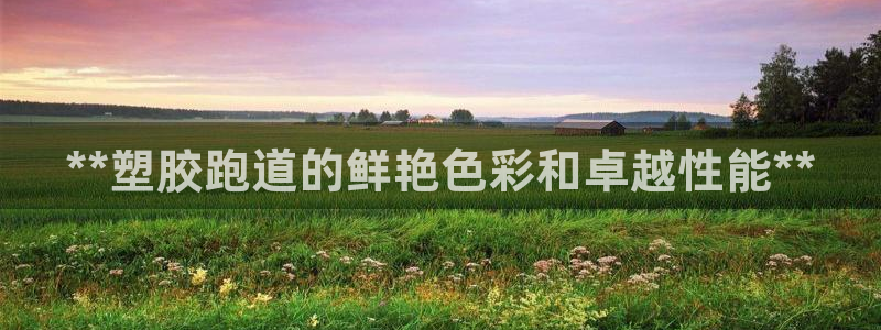 谈球吧在线观看：**塑胶跑道的鲜艳色彩和卓越性能**