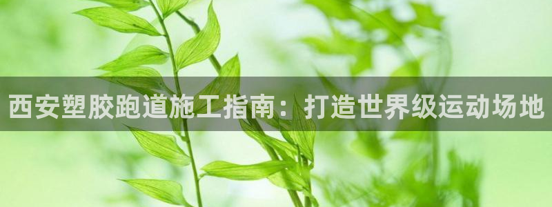 谈球吧登录网：西安塑胶跑道施工指南：打造世界级运动场地