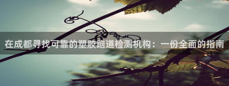 谈球吧是否诈骗：在成都寻找可靠的塑胶跑道检测机构：一