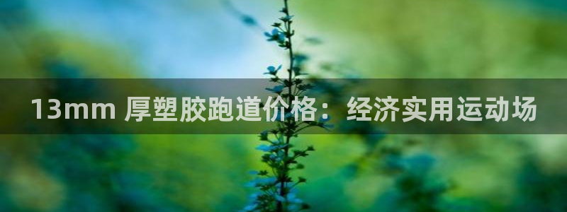 谈球吧体育综合：13mm 厚塑胶跑道价格：经济实用运